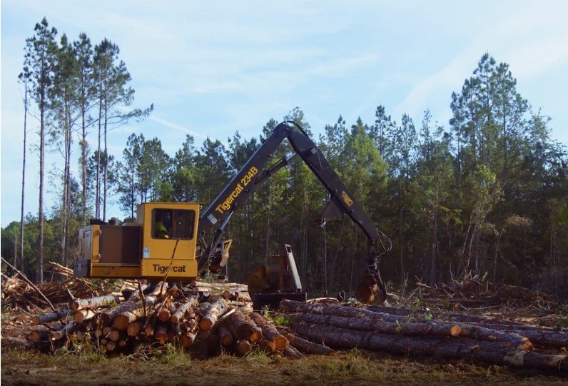 Timbers image 3
